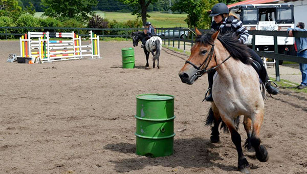 Tagesreitkurse in den Ferien auf Hof Viervitz