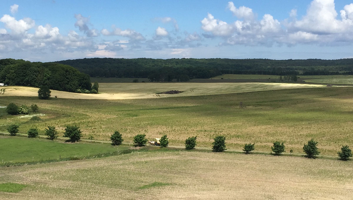 Kutschfahrten Hof Viervitz - mit 2 oder 4 PS über die Insel