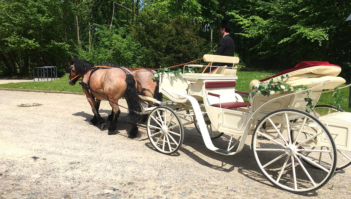 Heiraten auf Rügen - mit unserer Hochzeitskutsche fahren wir Sie zum Traualtar